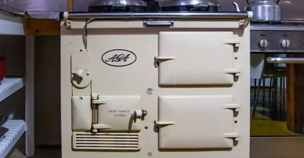 Best Rice Cooker for Small Spaces