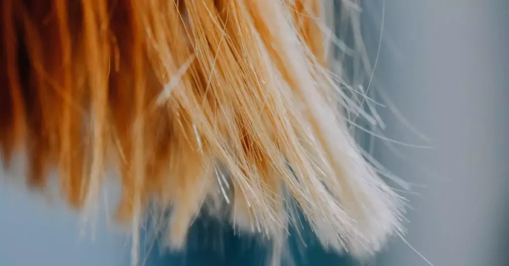 Top 10 Hair Straightener for Beginners