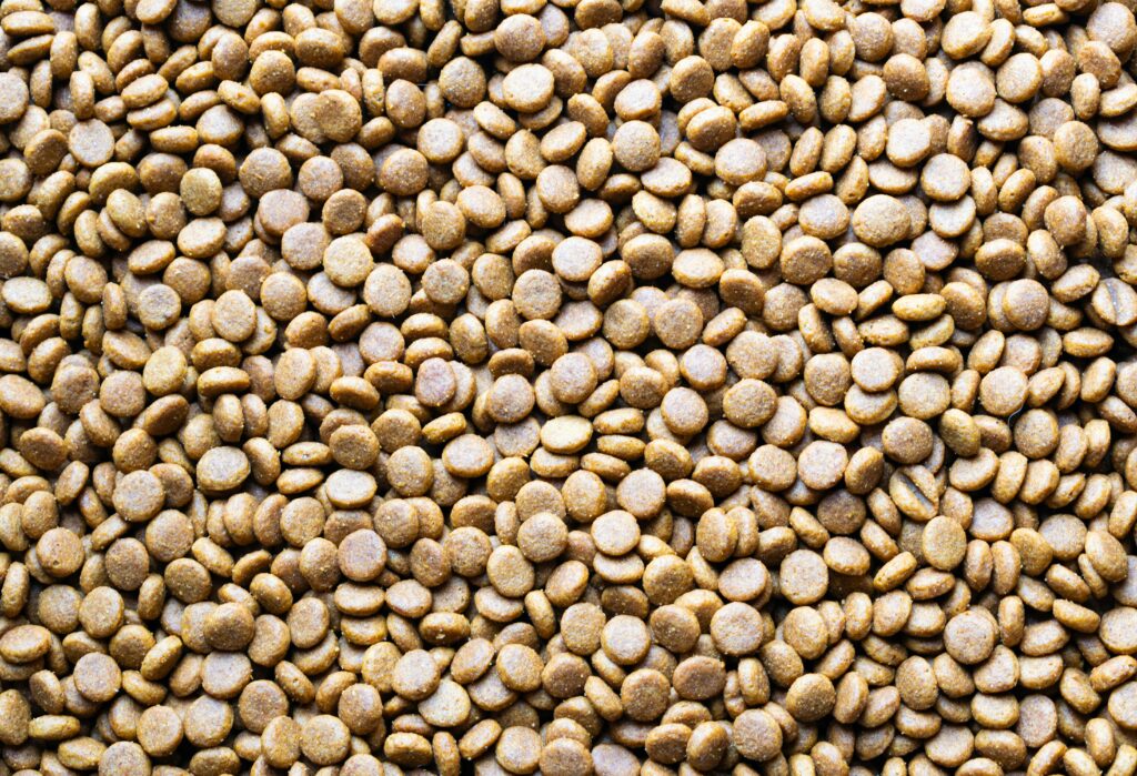 Best Dog Food Bowl for Small Spaces best-dog-food-bowl-for-small-spaces