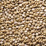 Best Dog Food Bowl for Small Spaces best-dog-food-bowl-for-small-spaces